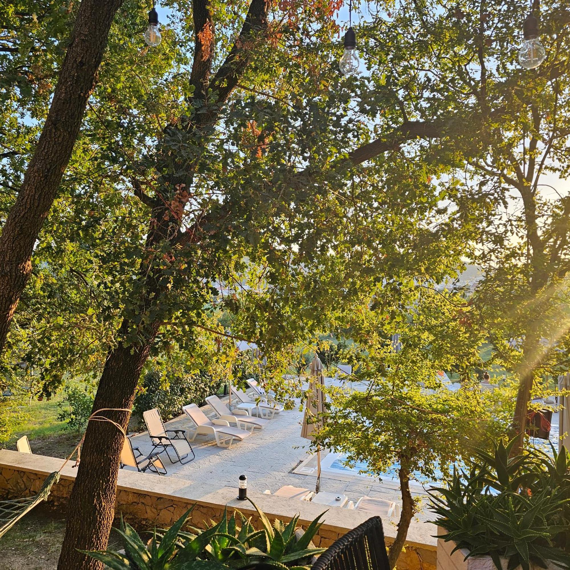 Green Hill Apartments Ούλτσιν Εξωτερικό φωτογραφία